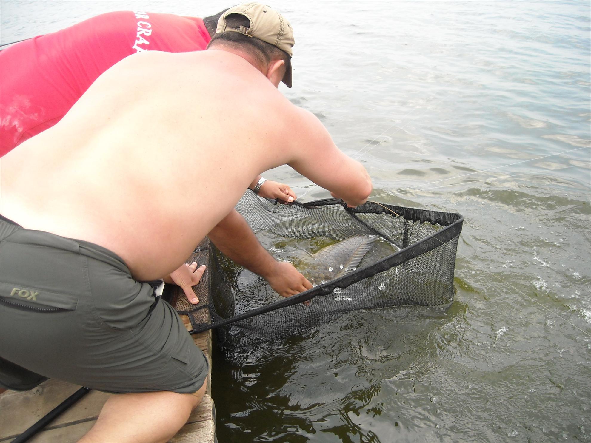 Open Tancabesti - 2010 - dscn7407.jpg